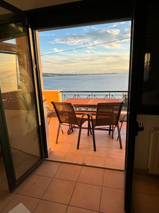 Avec Vue Appartement