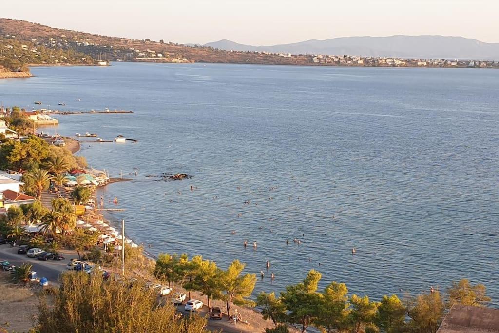 Apartment Avec Vue Aegina